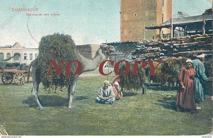DAMANHOUR DAMANHUR MARCHANDS D'ARBRES TREES SELLER EGYPT EGYPTE