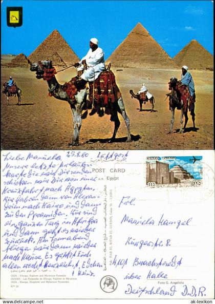 Postcard Kairo القاهرة Pyramiden - Kamele und Treiber 1980
