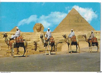 CP EGYPTE -circulée/timbrée