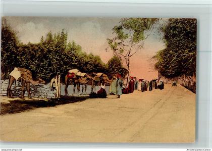 13055638 - Kairo Cairo