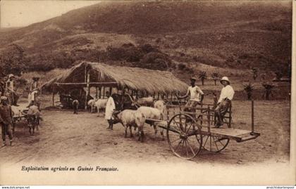 CPA Guinea, Landwirtschaftliche Ausbeutung in Französisch-Guinea