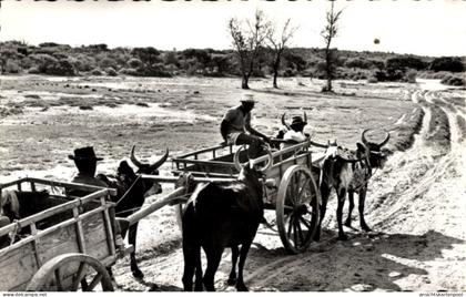 CPA Madagaskar, Ochsenkarren