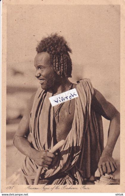 Egypte  :  Assuan type of the Bisharin Race (  see scans   )