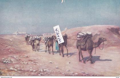 Egypte  :   Caire -     (  camel )   Oilette