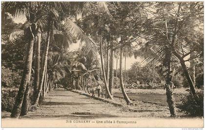 CONAKRY - une allée à Camayenne