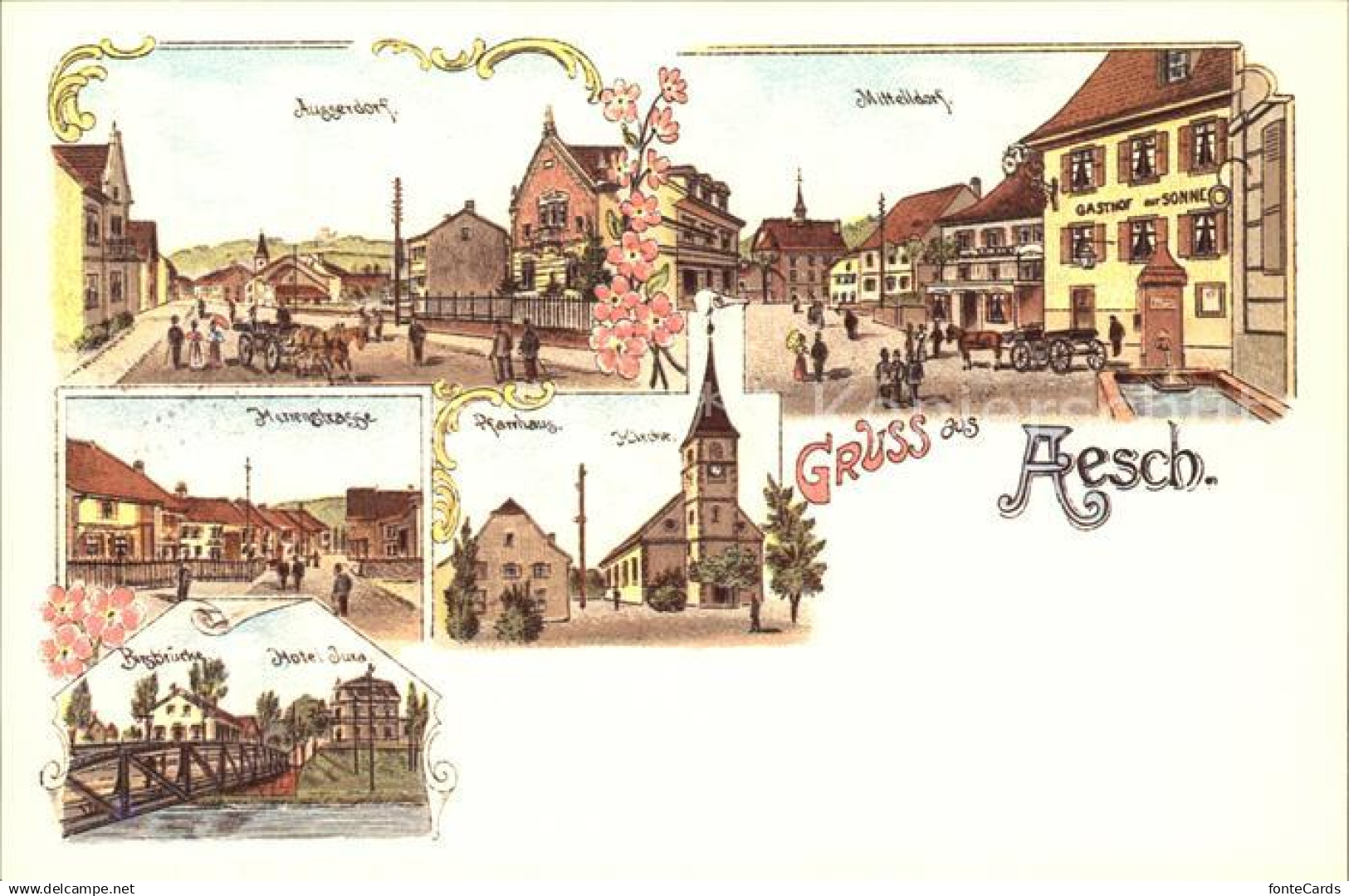 Aesch BL Repro