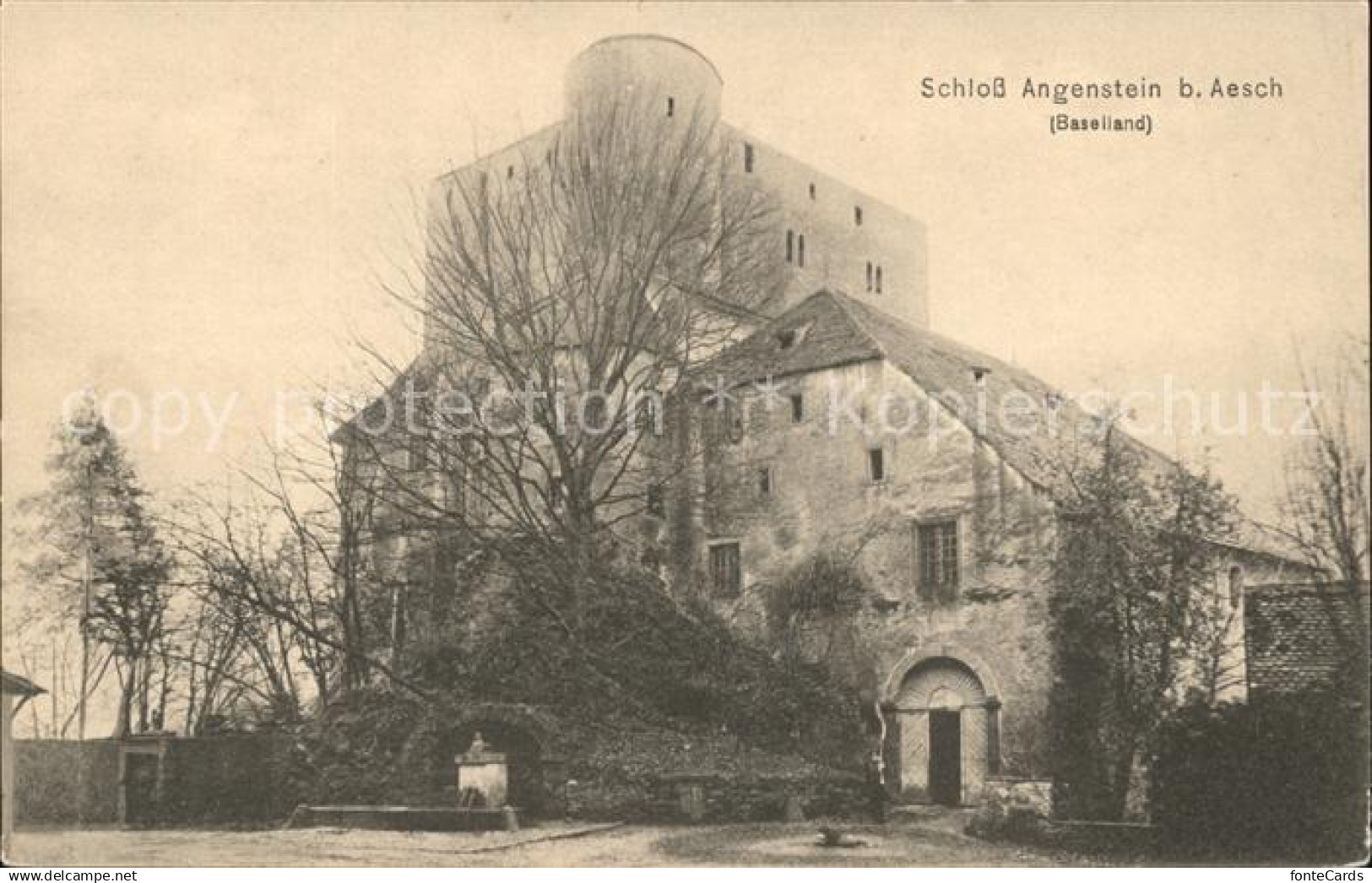 Aesch BL Schloss Angenstein
