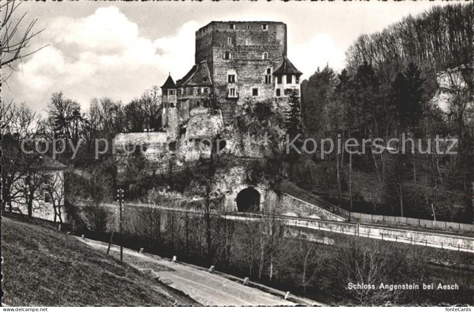 Aesch BL Schloss Angenstein