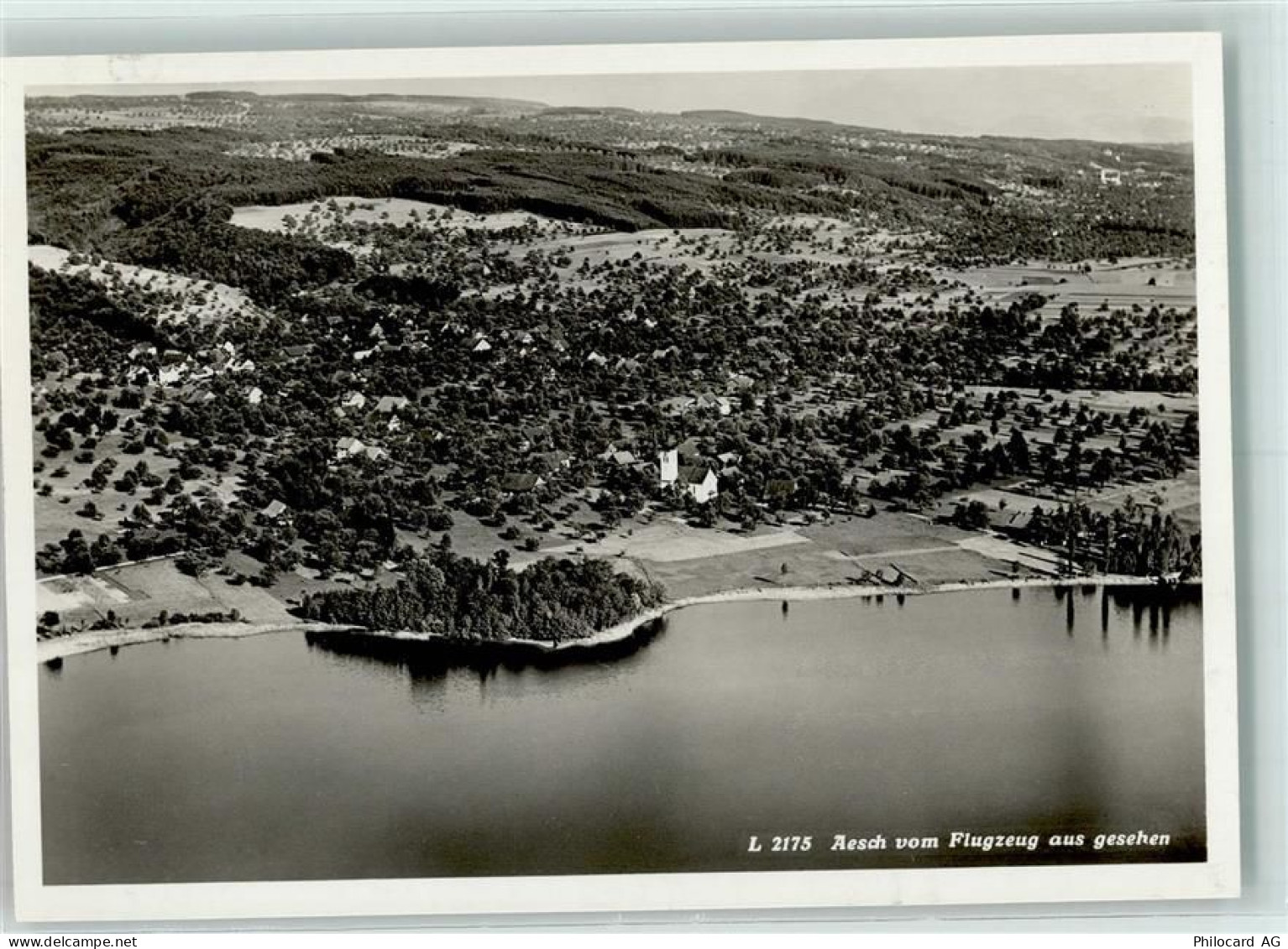 Aesch - Fliegeraufnahme - 13145540