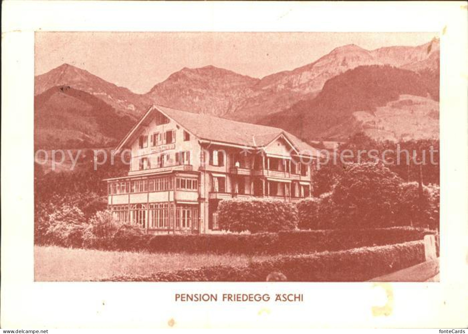 Aeschi Spiez Pension Friedegg aeschi
