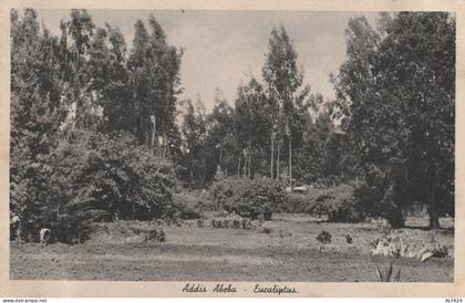 CARTOLINA ADDIS ABEBA ETIOPIA (angoli marcati) (XS2800