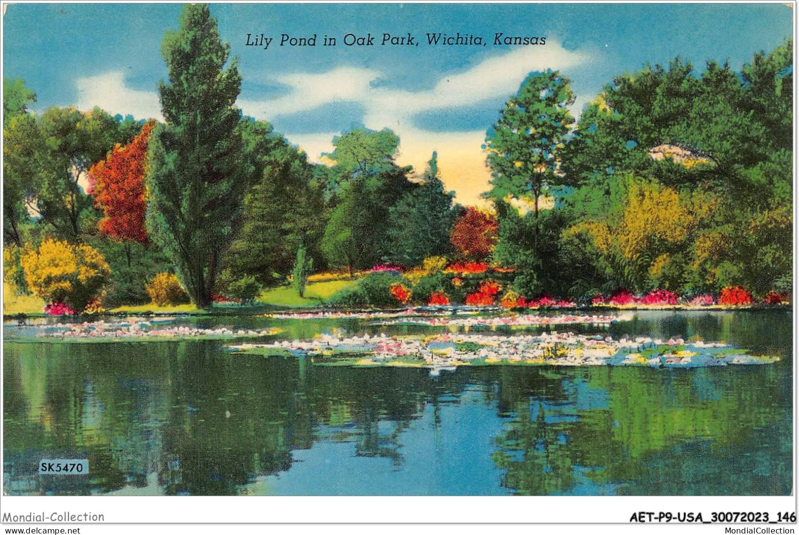 AETP9-USA-0762 - WICHITA - KANSAS - lily pond in oak park