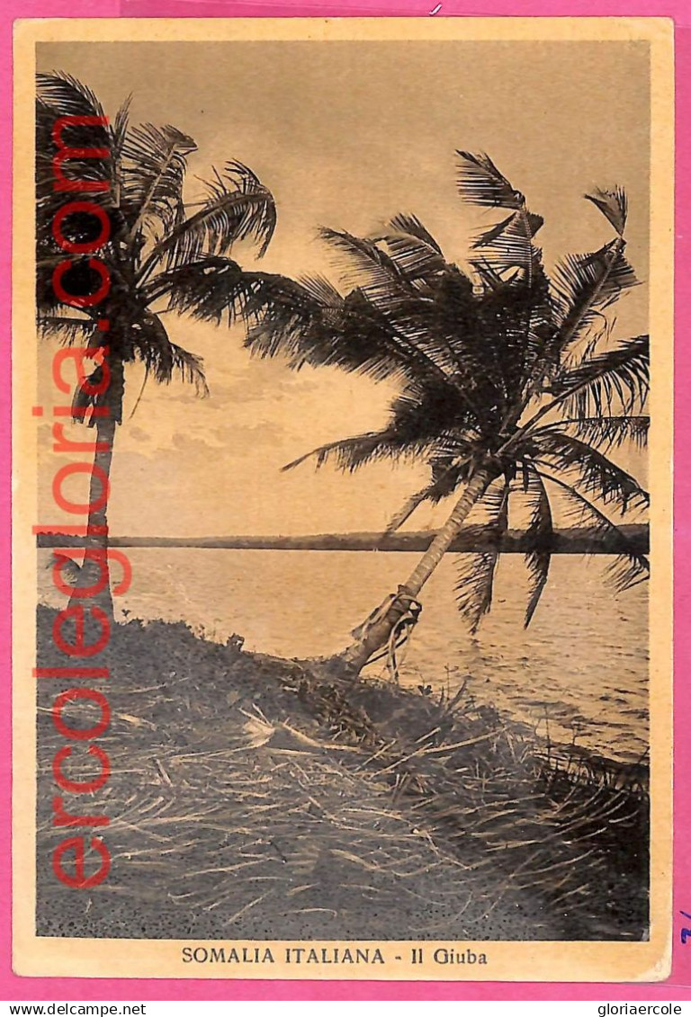 af9068 - SOMALIA - VINTAGE POSTCARD - Somalia Italiana