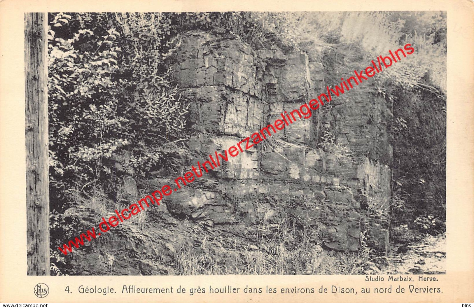 Affleurement de grès houiller - Dison