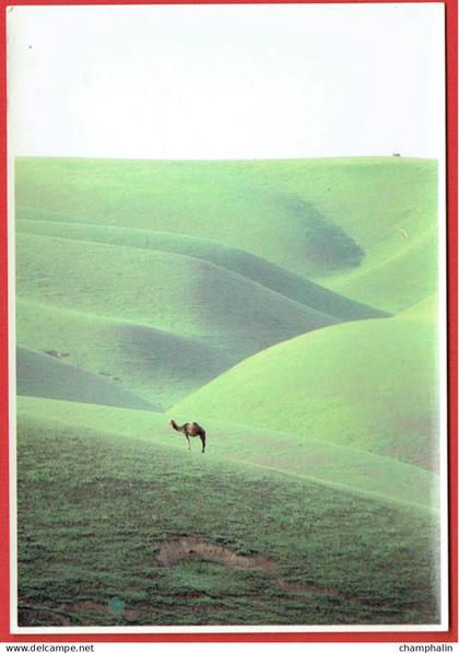 Afghanistan - Steppes du Nord