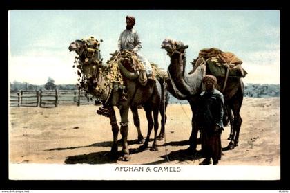AFGHANISTAN - AFGHAN AND CAMELS