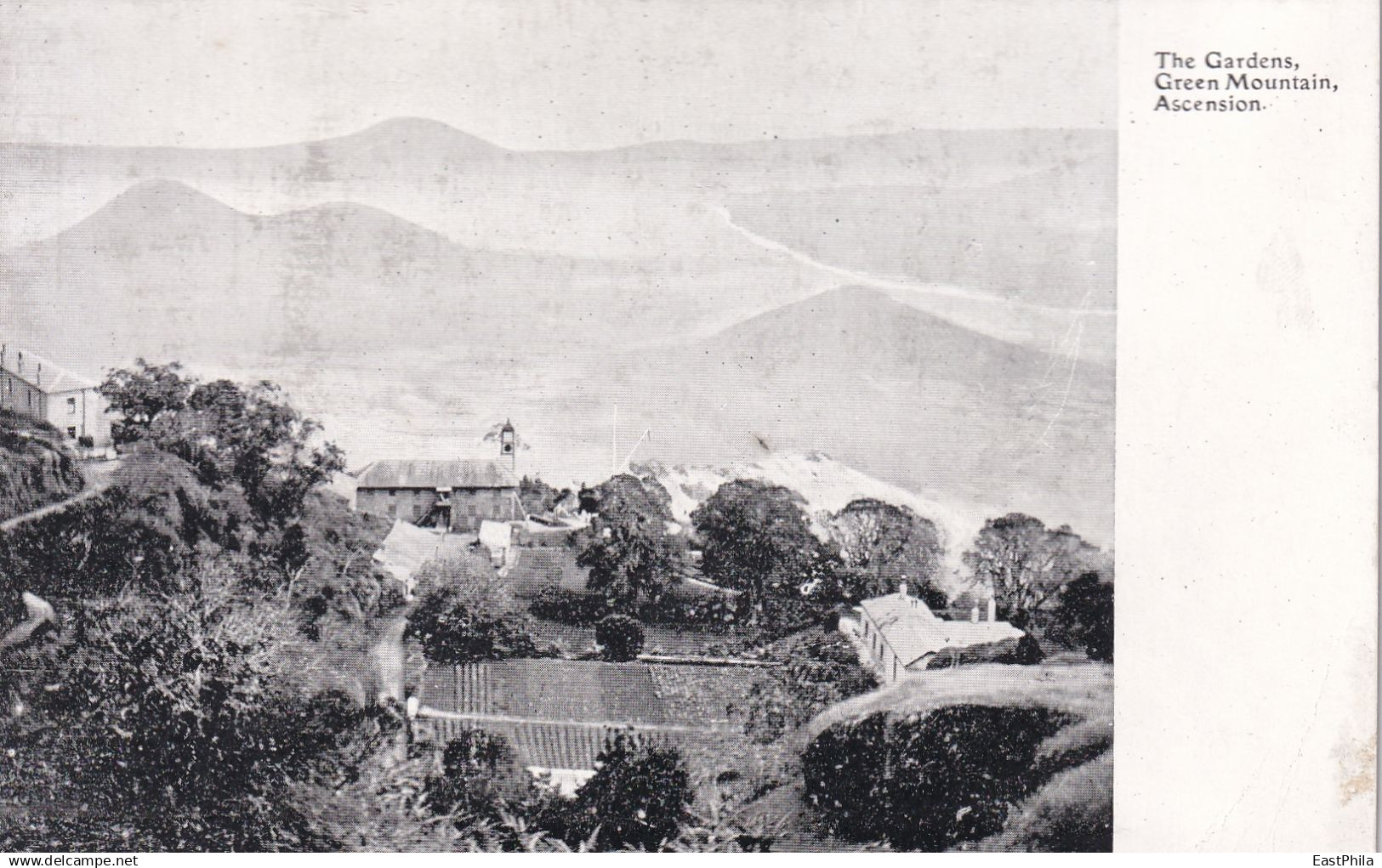 AFRICA AFRIQUE - ASCENSION ISLAND - THE GARDENS GREEN MOUNTAIN