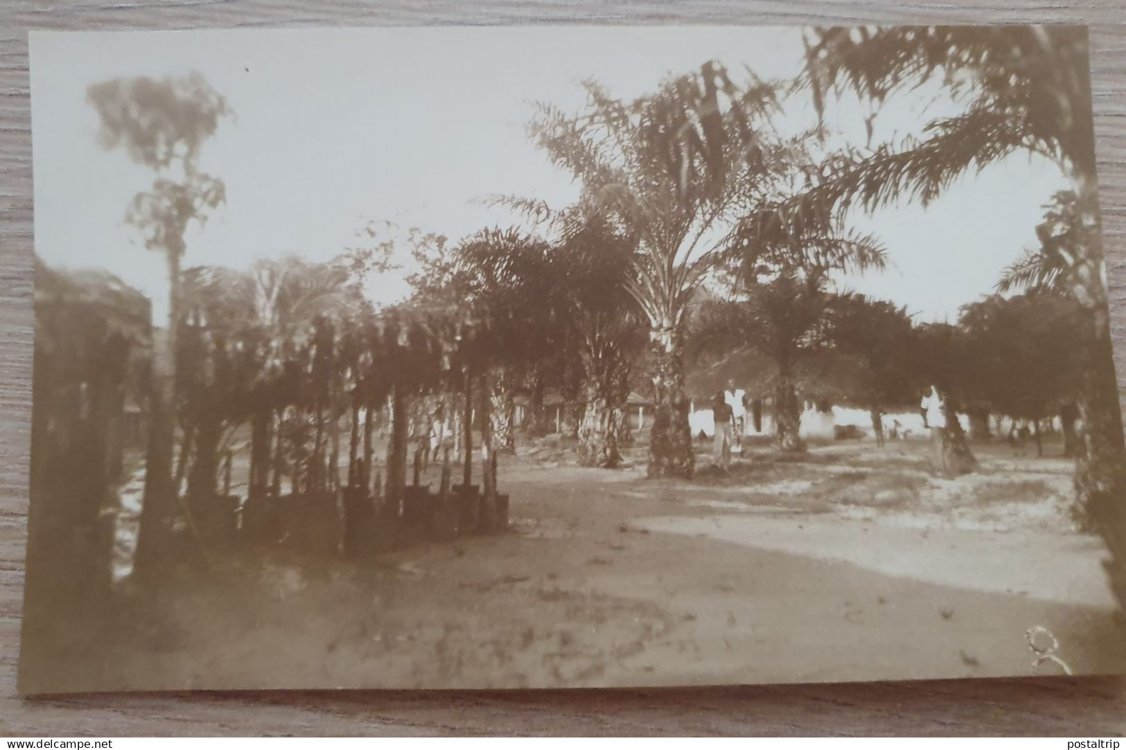 AFRICA. FETICHES CIRCONCISION . RPPC 1920 - 1930