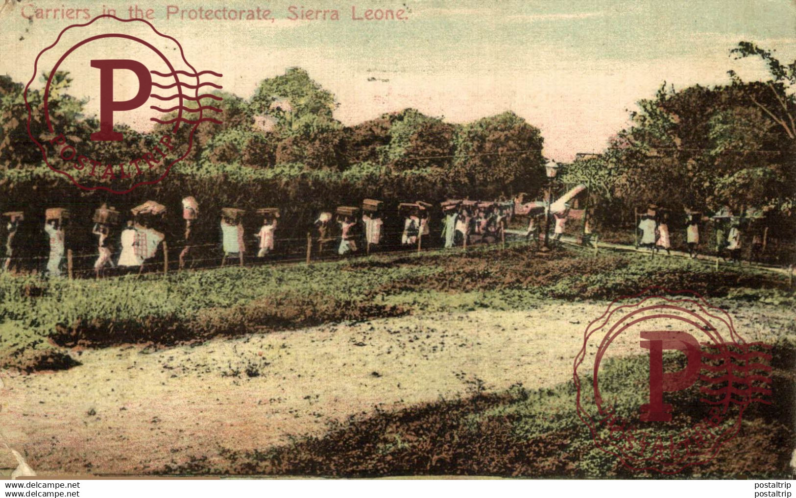 AFRICA. SIERRA LEONA. SIERRA LEONE. Carriers in the protectorate