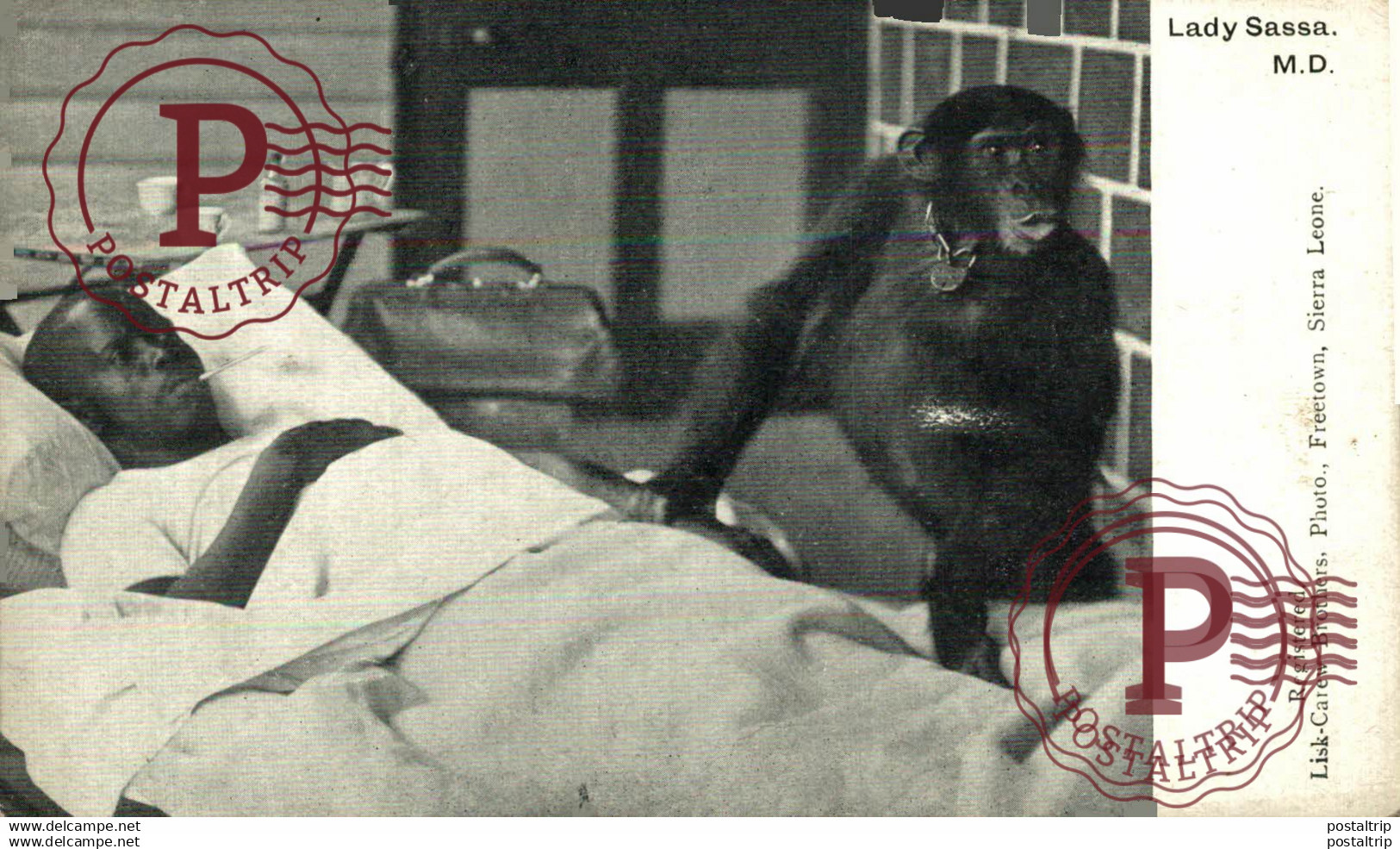AFRICA. SIERRA LEONA. SIERRA LEONE - LADY SASSA.