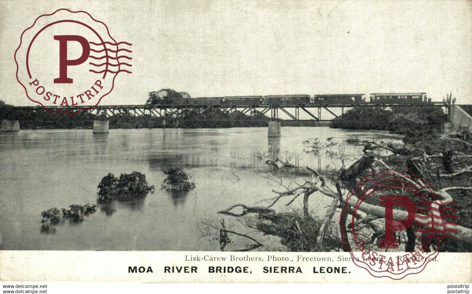 AFRICA. SIERRA LEONA. SIERRA LEONE - Moa River Bridge