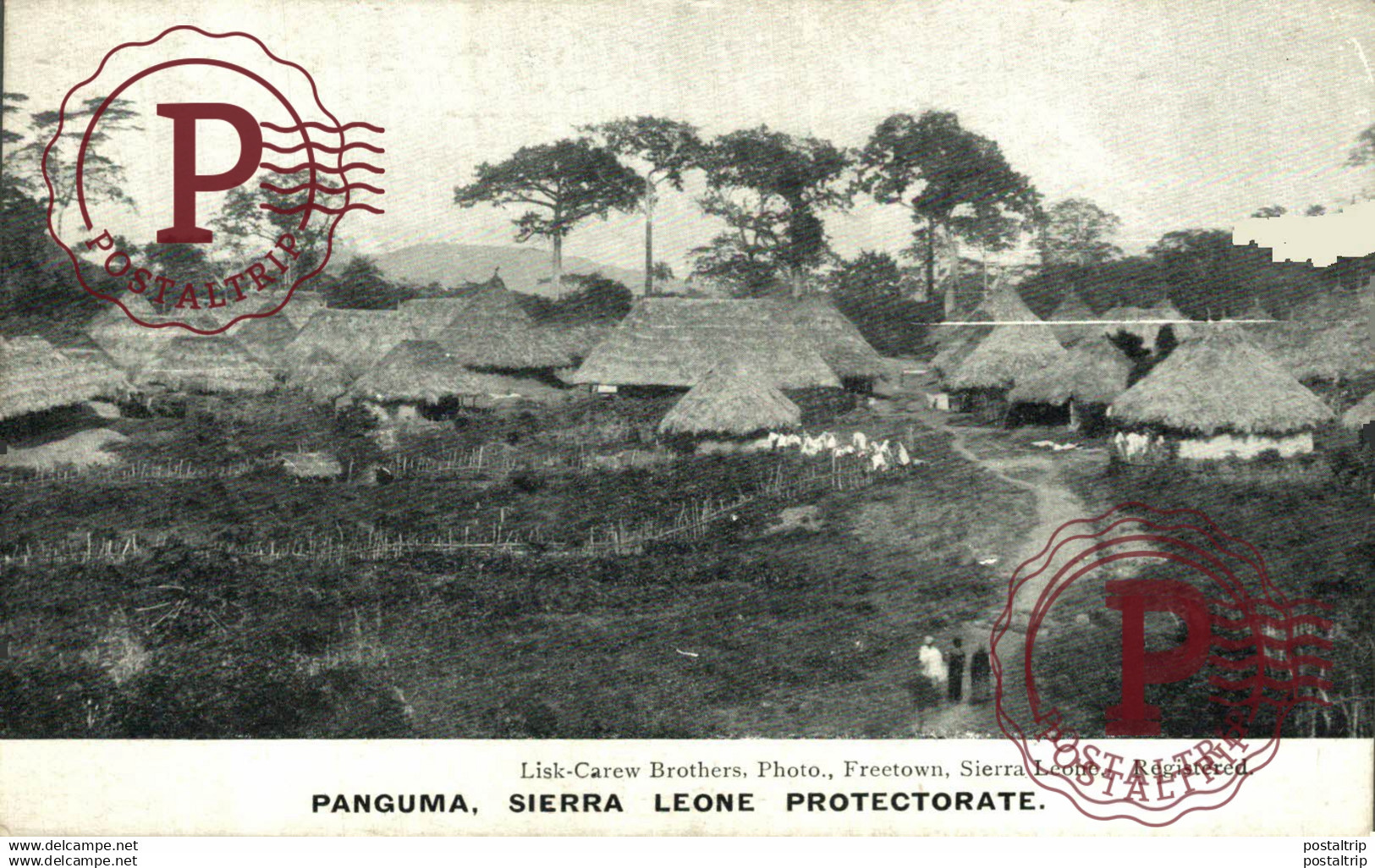 AFRICA. SIERRA LEONA. SIERRA LEONE - PANGUMA.