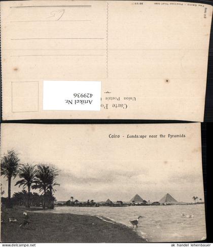 429936,Egypt Cairo Kairo Landscape near the Pyramids Pyramiden