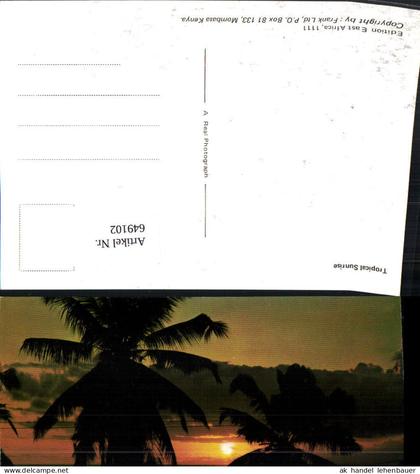 649102,Tropical Sunrise Mombasa Kenya Kenia Palmen Sonnenuntergang