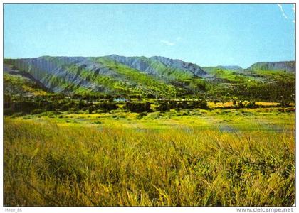 974 - ILE DE LA REUNION  - ile Bourbon -  LES HAUTS DE LA POSSESSION