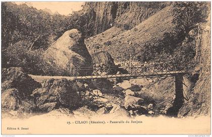 LA REUNION - Cilaos / Passerelle de Benjoin