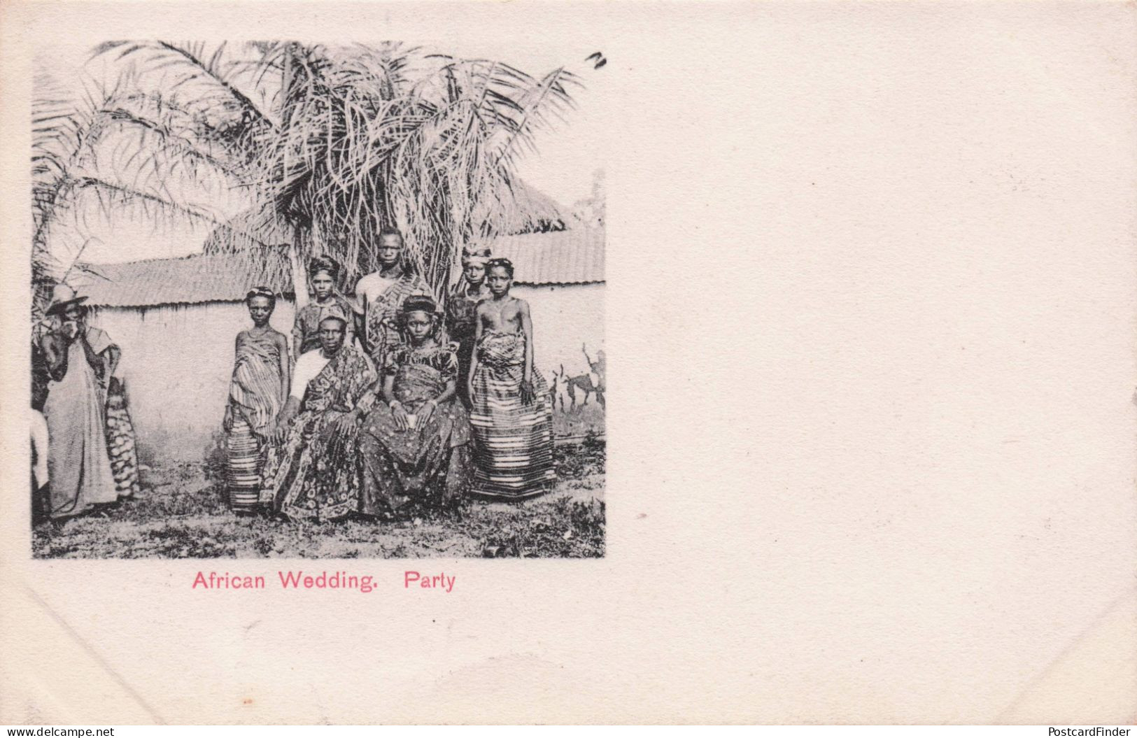 African Wedding Party Gold Coast Australia Antique Postcard