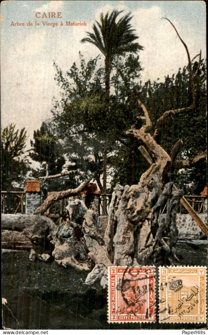 Afrika Africa - Egypte - Caïre Caïro