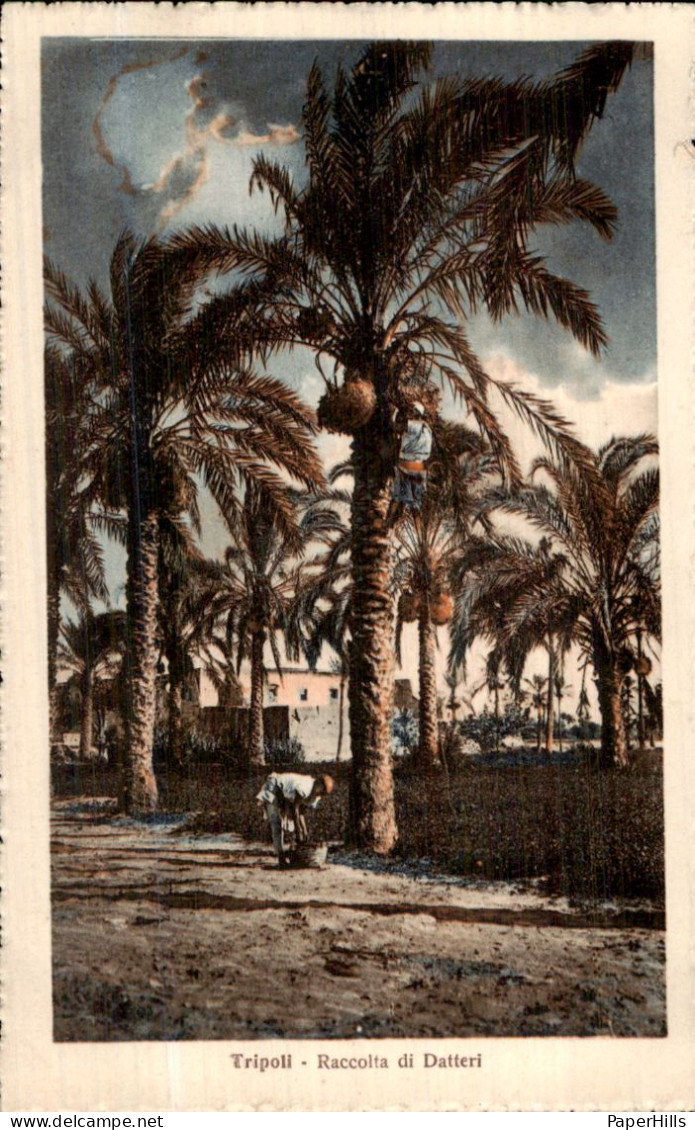Afrika Africa - Liberia - Tripoli