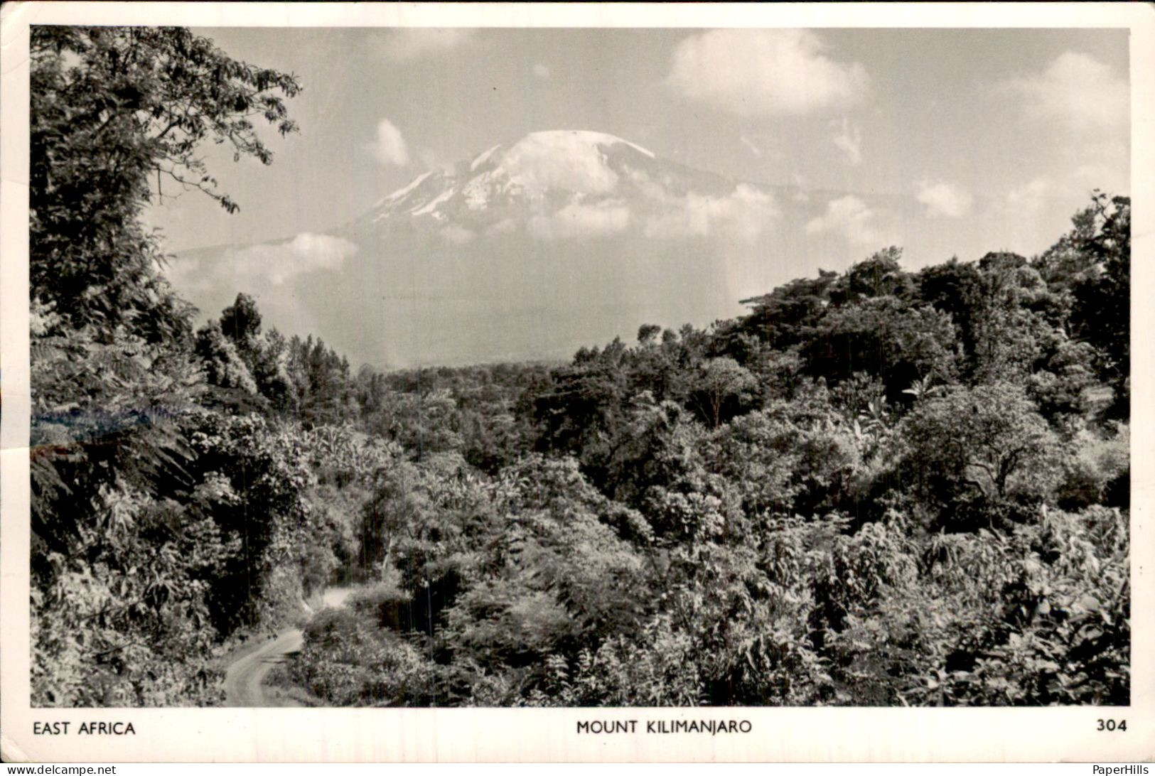Afrika Africa - Tanzania - Kilimanjaro