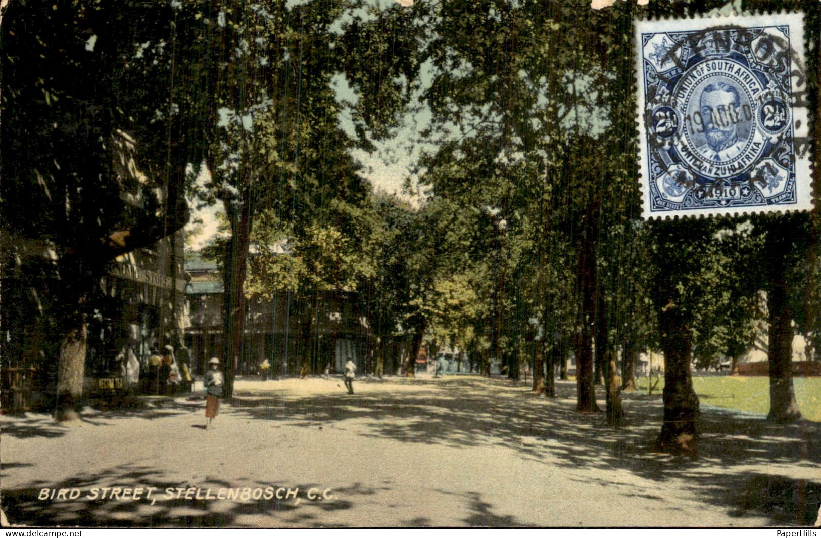 Afrika Africa - Zuid Afrika - Stellenbosch