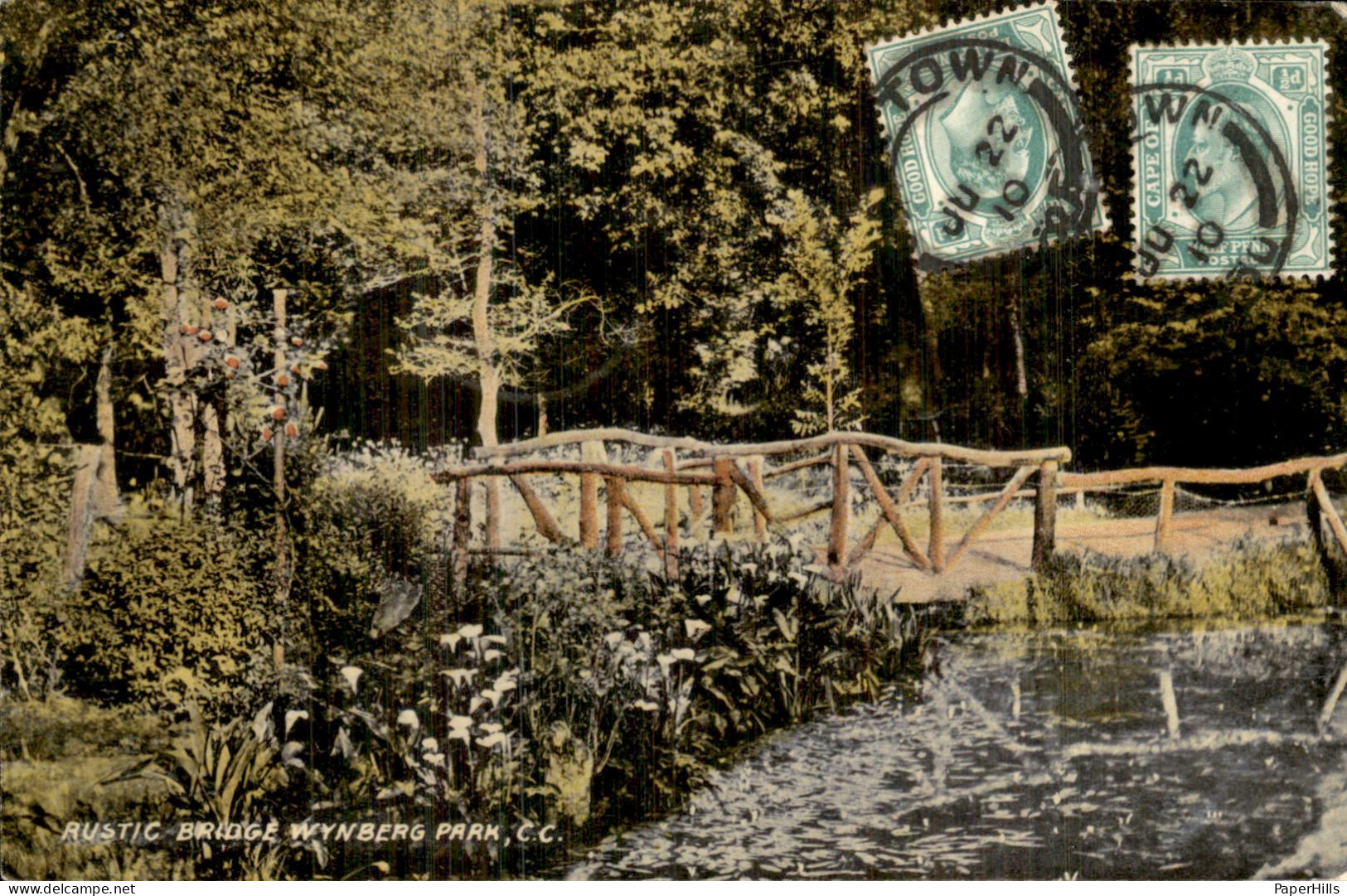 Afrika Africa - Zuid Afrika - Wynberg Park