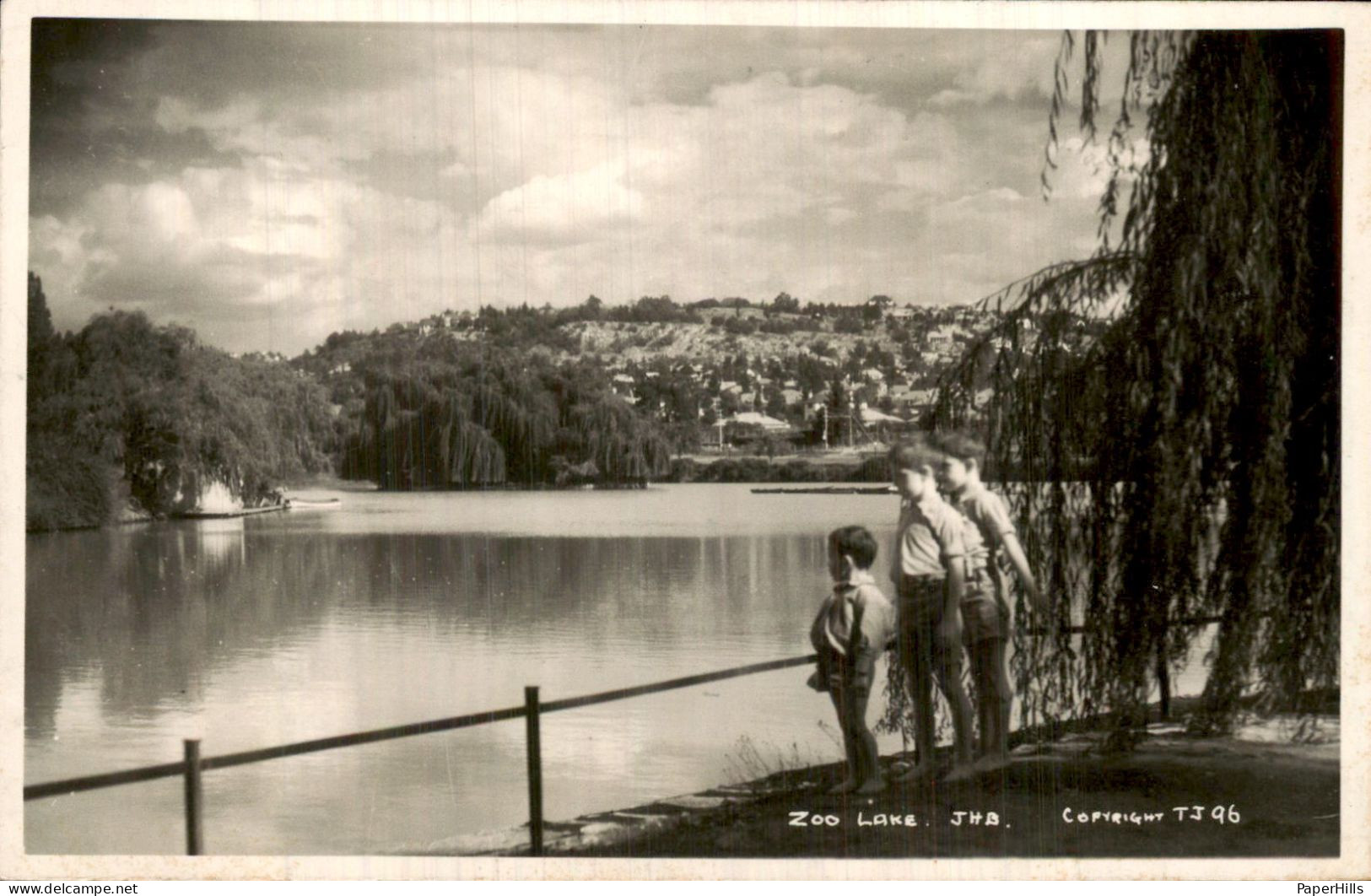 Afrika Africa - Zuid Afrika - Zoo Lake