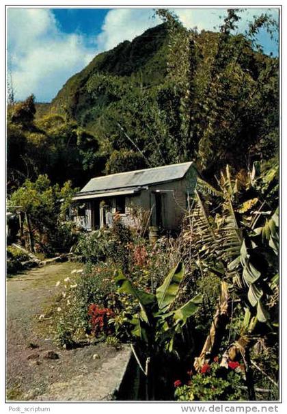 Afrique - La Réunion - Les hauts de l'Ile