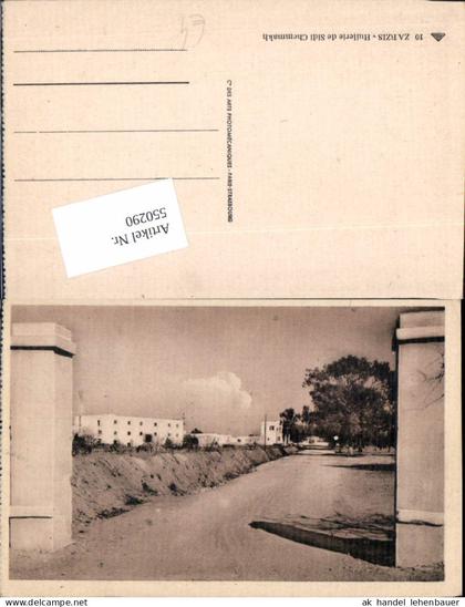 550290,Africa Tunis Tunisia Zarzis