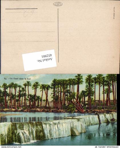 452901,Africa Un Oued dans le Sud Wasserfall Palmen