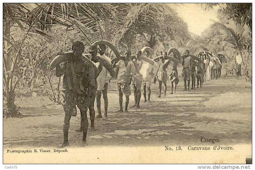 AFRIQUE - Congo - Caravane d'ivoire - Défense éléphants
