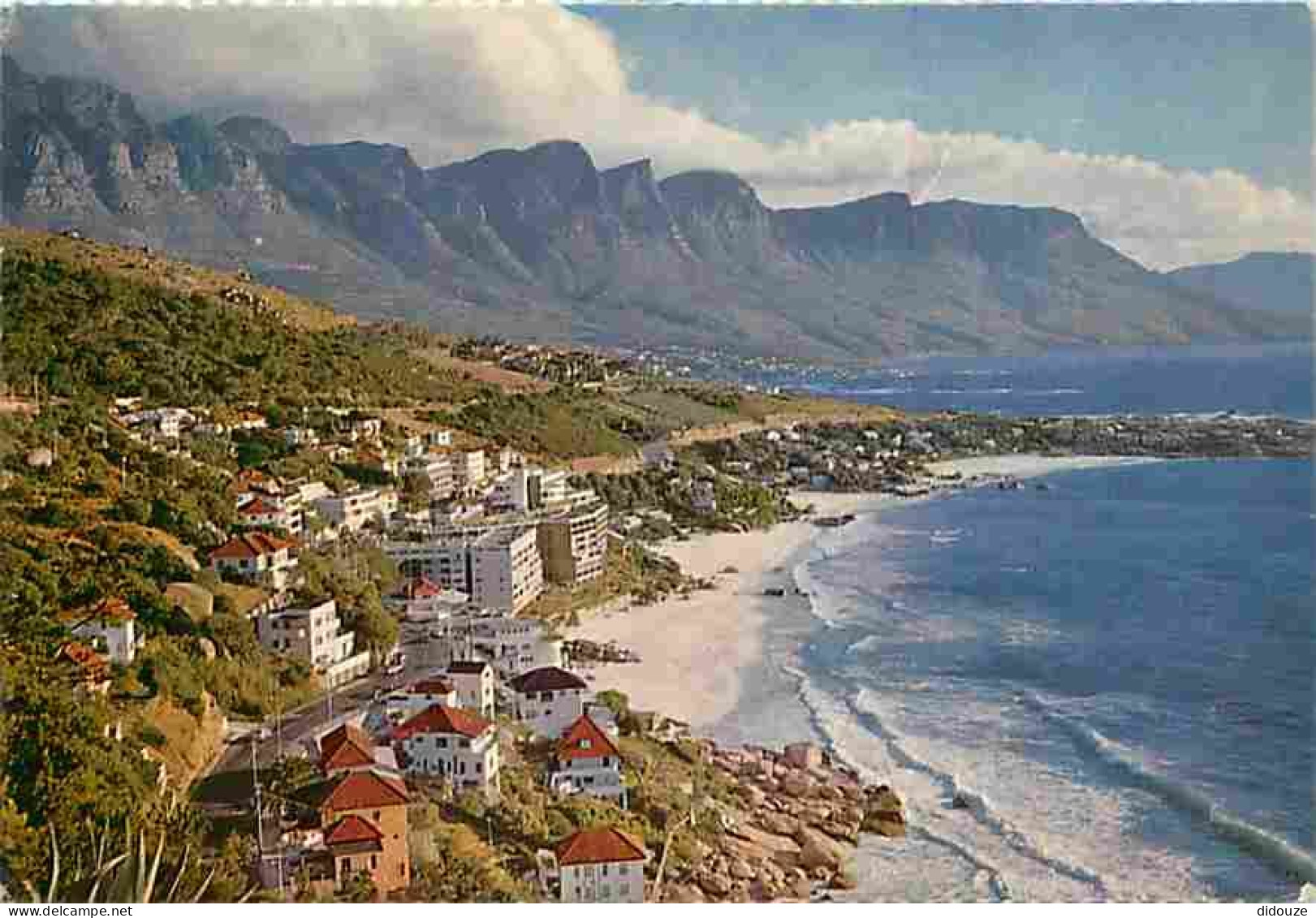 Afrique du Sud - South Africa - Cape - A view of Clifton - CPM - Voir Scans Recto-Verso