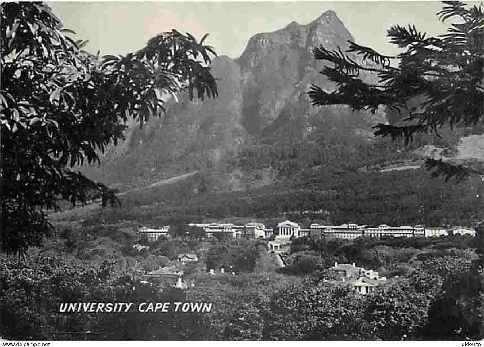 Afrique du Sud - South Africa - Cape Town - University Cape Town - Carte Neuve - CPM - Voir Scans Recto-Verso