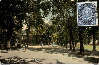 Afrika Africa - Zuid Afrika - Stellenbosch