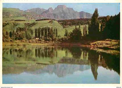 Carte Postale - Afrique du Sud - South Africa - Drakensberg - CPM - Voir Scans Recto-Verso - Poscard - Carta Postal -  P