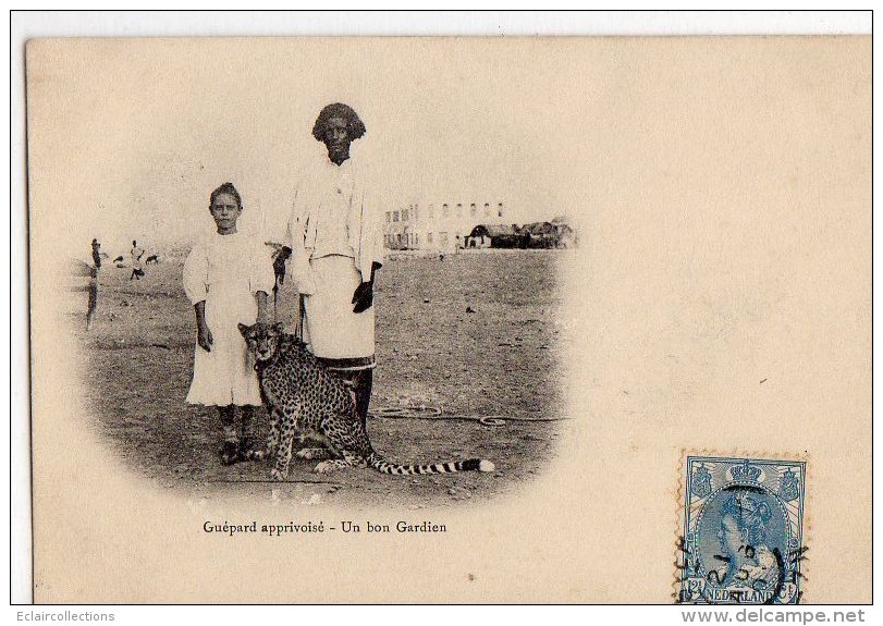 Afrique  Ethiopie  Abbyssinie   Enfants et Guépard apprivoisé    ( Voir Scan)