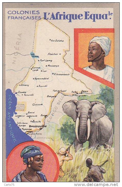 Afrique -  Gabon Tchad Congo - Afrique Equatoriale - Chasse éléphant