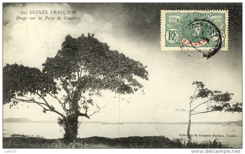 Afrique - Guinée - Konakry