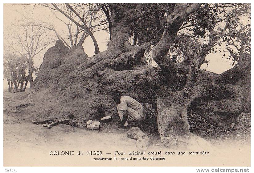 Afrique -  Niger - Curiosité - Four dans termitière