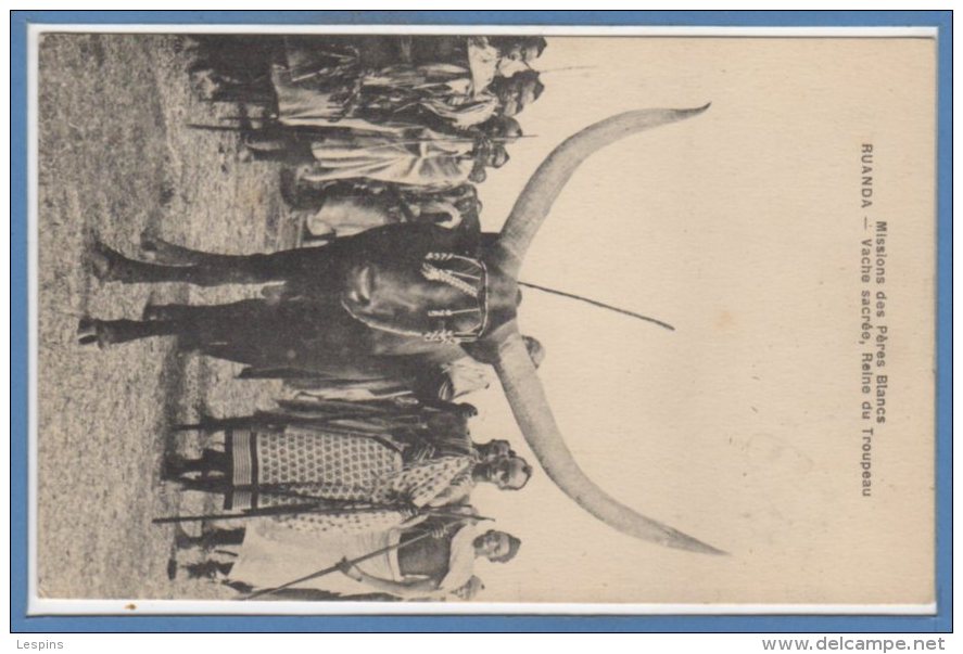 AFRIQUE  --  RUANDA - Vache sacrée , reine du troupeau